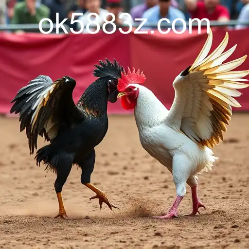 Rinha de galos